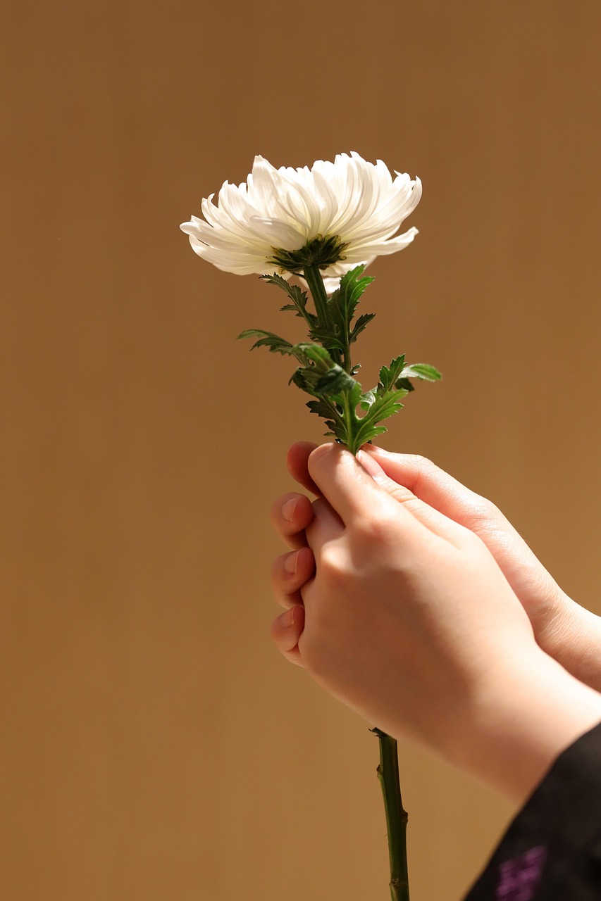 葬儀での生花持ち込みは可能？注意点とおすすめの花とは？
