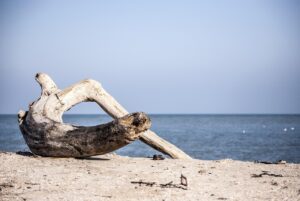 海洋散骨の費用を東京で抑えるためのポイントは？