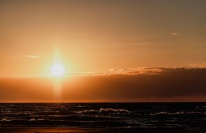 お通夜なしの一日葬での流れや注意点は？